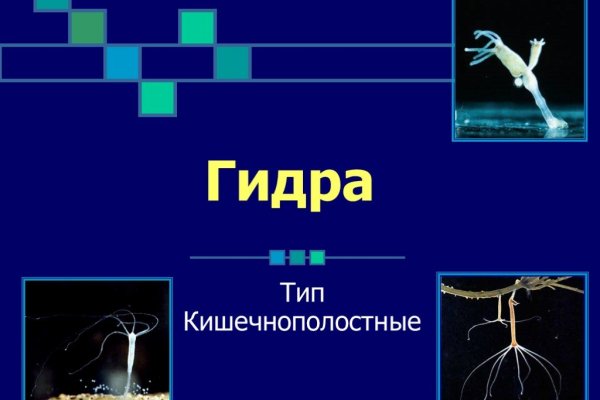 Ссылка кракен сегодня