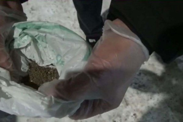 Кракен маркет тор