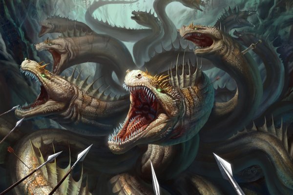 Kraken20 at