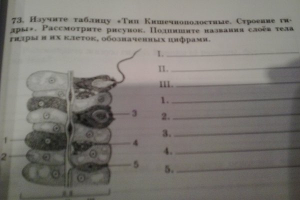 Какой нужен тор чтоб зайти в кракен