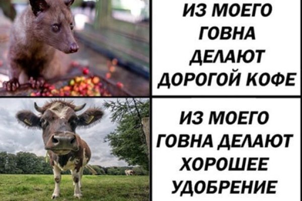 Как зайти в кракен с айфона